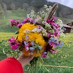 Eiger, Jungfrau, Luxury Garden *