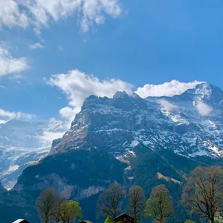 Eiger, Jungfrau, Luxury Garden Apartment Grindelwald
