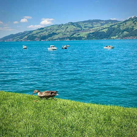 Eiger, Jungfrau, Luxury Garden شقة جريندلوالد