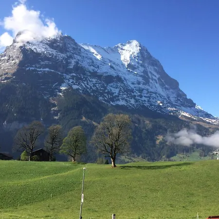 Eiger, Jungfrau, Luxury Garden * جريندلوالد