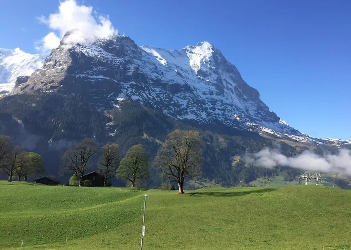 Eiger, Jungfrau, Luxury Garden * גרינדלוולד